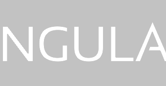 angularjs_logo