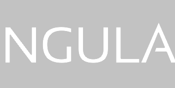 angularjs_logo